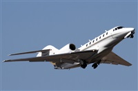 ©Alfonso Solís - Asociación Canary Islands Spotting. Click to see full size photo ©Alfonso Solís - Asociación Canary Islands Spotting. Click to see full size photo