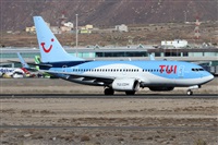 Alfonso Sols - Asociacin Canary Islands Spotting. Click to see full size photo