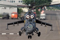 ©Maksimov Maxim - RuSpotters Team. Click to see full size photo ©Maksimov Maxim - RuSpotters Team. Click to see full size photo
