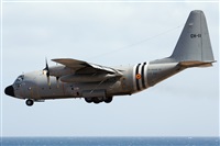 Florencio Martn Melin - Lanzarote Spotters. Click to see full size photo