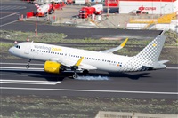 ©Luis Rguez - La Palma Spotting. Click to see full size photo ©Luis Rguez - La Palma Spotting. Click to see full size photo