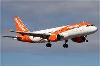 Alfonso Sols - Asociacin Canary Islands Spotting. Click to see full size photo
