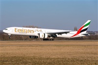 Tams. Click to see full size photo