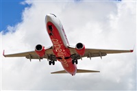 Miguel A. gueda Rguez.  (CANARY ISLANDS SPOTTING). Click to see full size photo