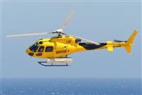 Miguel A. gueda Rguez.  (CANARY ISLANDS SPOTTING). Click to see full size photo