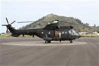 Alfonso Sols - Asociacin Canary Islands Spotting. Haz click para ampliar