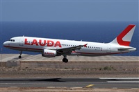 Alfonso Sols - Asociacin Canary Islands Spotting. Click to see full size photo