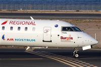 Adrin Alonso Lemes - Lanzarote Spotters. Click to see full size photo