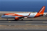 ©Alfonso Solís - Asociación Canary Islands Spotting. Click to see full size photo ©Alfonso Solís - Asociación Canary Islands Spotting. Click to see full size photo