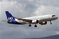 Alfonso Sols - Asociacin Canary Islands Spotting. Click to see full size photo