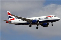 Alfonso Sols - Asociacin Canary Islands Spotting. Haz click para ampliar