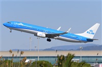 Miguel A. gueda Rguez.  (CANARY ISLANDS SPOTTING). Click to see full size photo