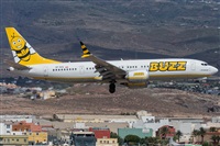 ©Adolfo Bento - Gran Canaria Spotters. Click to see full size photo ©Adolfo Bento - Gran Canaria Spotters. Click to see full size photo