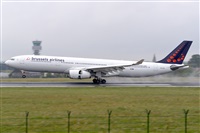 Miguel A. gueda Rguez.  (CANARY ISLANDS SPOTTING). Click to see full size photo