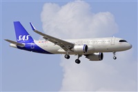 Miguel A. gueda Rguez.  (CANARY ISLANDS SPOTTING). Click to see full size photo