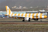 Alfonso Sols - Asociacin Canary Islands Spotting. Haz click para ampliar