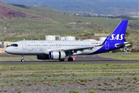 Miguel A. gueda Rguez.  (CANARY ISLANDS SPOTTING). Haz click para ampliar