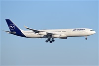 Miguel A. gueda Rguez.  (CANARY ISLANDS SPOTTING). Click to see full size photo