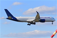 Miguel A. gueda Rguez.  (CANARY ISLANDS SPOTTING). Click to see full size photo