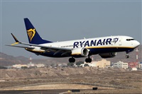 Alfonso Sols - Asociacin Canary Islands Spotting. Haz click para ampliar