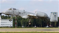 Andrzej Rejter. Click to see full size photo