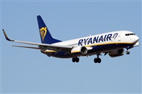 ©Alfonso Solís - Asociación Canary Islands Spotting. Click to see full size photo ©Alfonso Solís - Asociación Canary Islands Spotting. Click to see full size photo
