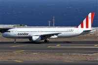 ©Alfonso Solís - Asociación Canary Islands Spotting. Click to see full size photo ©Alfonso Solís - Asociación Canary Islands Spotting. Click to see full size photo