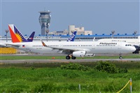Miguel A. gueda Rguez.  (CANARY ISLANDS SPOTTING). Click to see full size photo