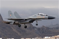 ©Adolfo Bento - Gran Canaria Spotters. Click to see full size photo ©Adolfo Bento - Gran Canaria Spotters. Click to see full size photo