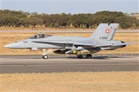 ©Juan Ojados. Click to see full size photo ©Juan Ojados. Click to see full size photo