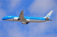 �Miguel A. �gueda Rguez.  (CANARY ISLANDS SPOTTING). Click to see full size photo