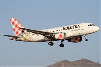 �Alfonso Sol�s - Asociaci�n Canary Islands Spotting. Click to see full size photo