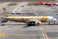 ©Javier Rodríguez. Click to see full size photo ©Javier Rodríguez. Click to see full size photo