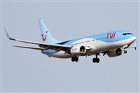 ©Alfonso Solís - Asociación Canary Islands Spotting. Click to see full size photo ©Alfonso Solís - Asociación Canary Islands Spotting. Click to see full size photo