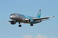 ©José Miguel Bernases - Noisy Spotters. Click to see full size photo ©José Miguel Bernases - Noisy Spotters. Click to see full size photo