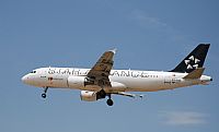 Rubn Gil - Noisy Spotters. Click to see full size photo
