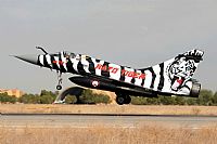 ©Antonio Zamora - La Mancha Spotters. Click to see full size photo ©Antonio Zamora - La Mancha Spotters. Click to see full size photo