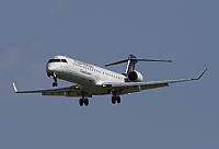 Jos Miguel Bernases - Noisy Spotters. Click to see full size photo