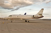 Javier de la Cruz - CANARY ISLANDS SPOTTING. Click to see full size photo