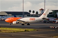 Javier de la Cruz - CANARY ISLANDS SPOTTING. Click to see full size photo