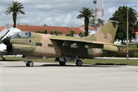 JAbreu                                                              www.portugalspotters.net. Click to see full size photo