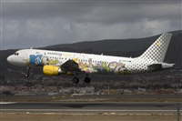 Ayoze Santana Mendez - Canary Islands Spotting. Haz click para ampliar