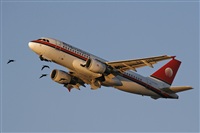 Cele - Spotters BCN. Click to see full size photo
