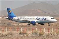 Alfonso Sols - Asociacin Canary Islands Spotting. Click to see full size photo
