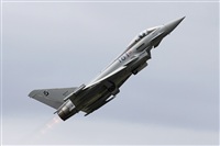 Jos Miguel Bernases - Noisy Spotters. Click to see full size photo