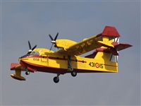 H.volar. Click to see full size photo