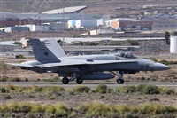 Alfonso Sols - Asociacin Canary Islands Spotting. Click to see full size photo