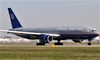 Rubn Gil - Noisy Spotters. Click to see full size photo
