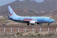 Alfonso Sols - Asociacin Canary Islands Spotting. Click to see full size photo