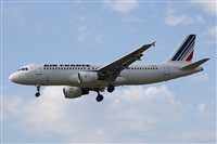 Alfonso Sols - Asociacin Canary Islands Spotting. Click to see full size photo